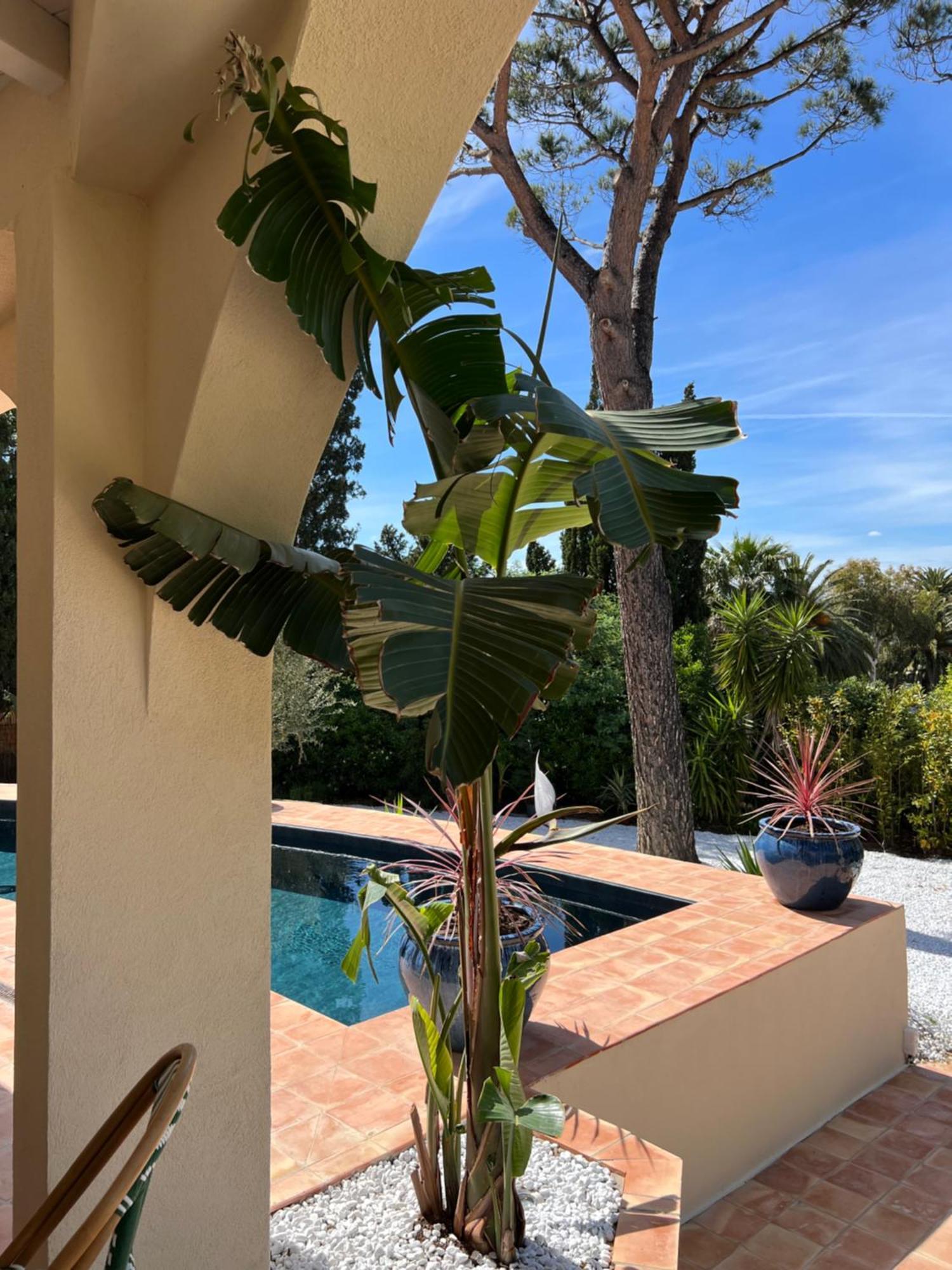 Maison D'Orange - La Pinede Saint-Tropez Exterior foto
